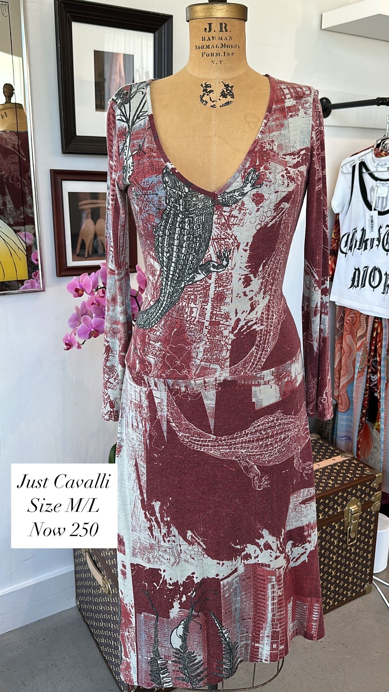CROC/CITY PRINTED LONG SLEEVE DRESS